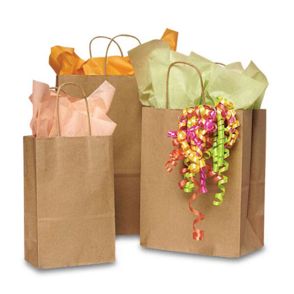 Premium brown kraft paper handle bags for gifting and retail
