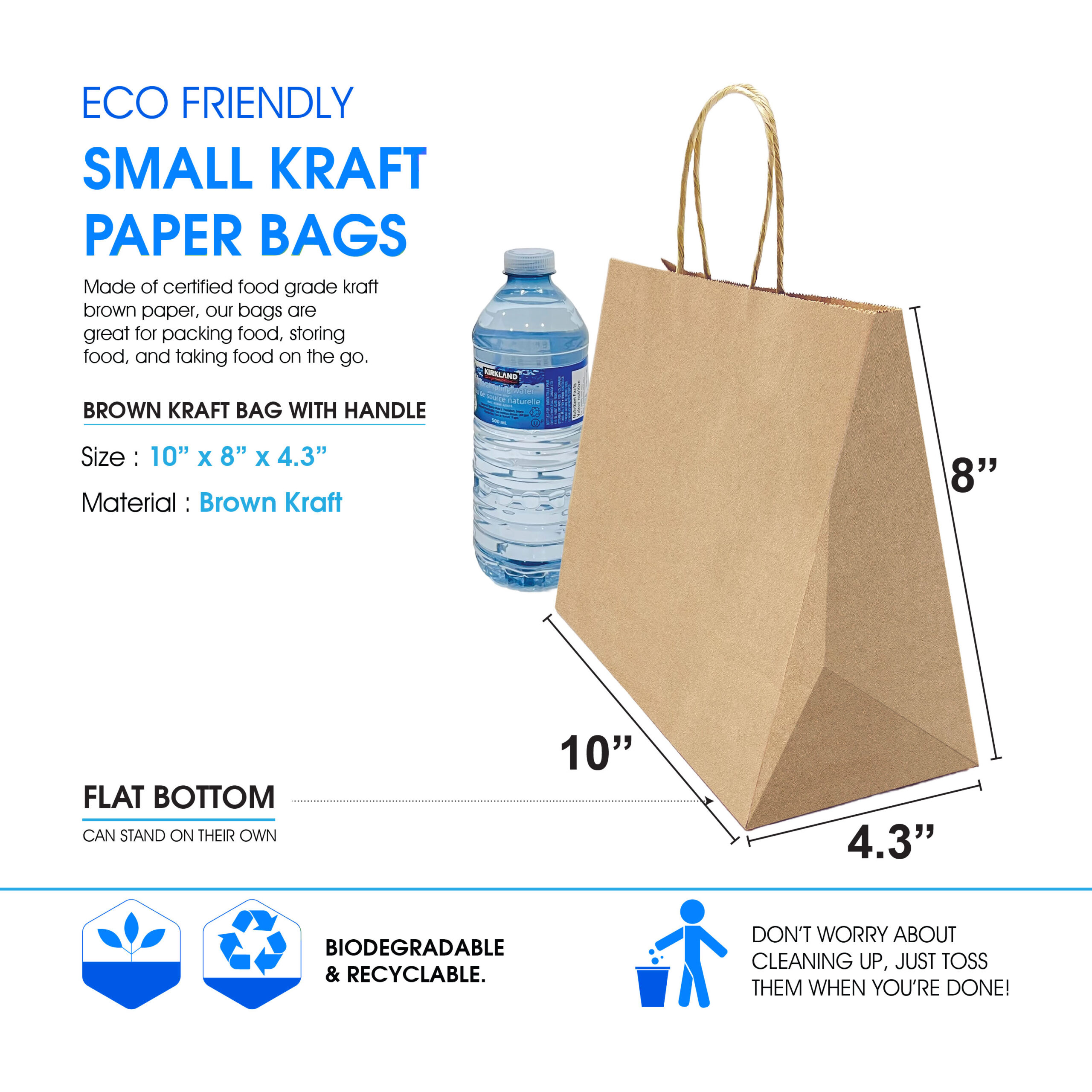 Brown Bag with Handle Updated